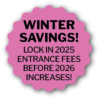 Website Starburst Offer- DT Winter 2025