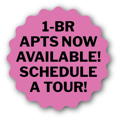 Website Starburst Offer- ML JAN 2026